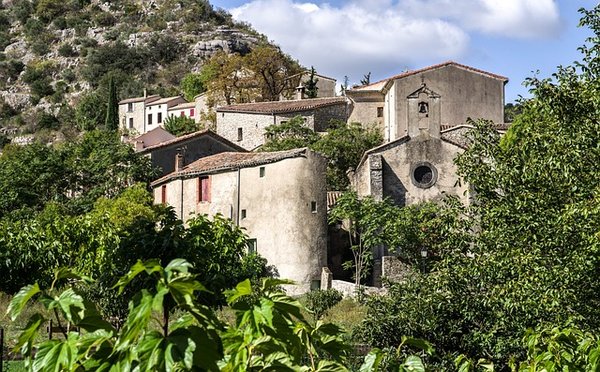 Gîtes de charme en cévennes : votre Évasion nature